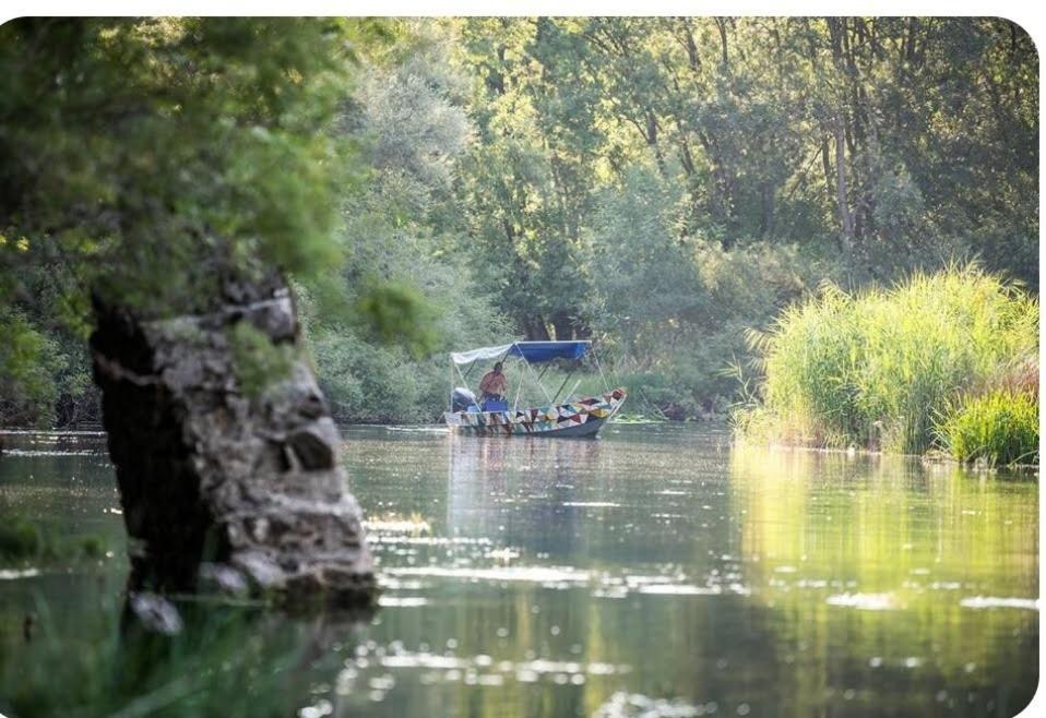 Holiday Home Haustor With Skadar Lake View Podgorica Esterno foto