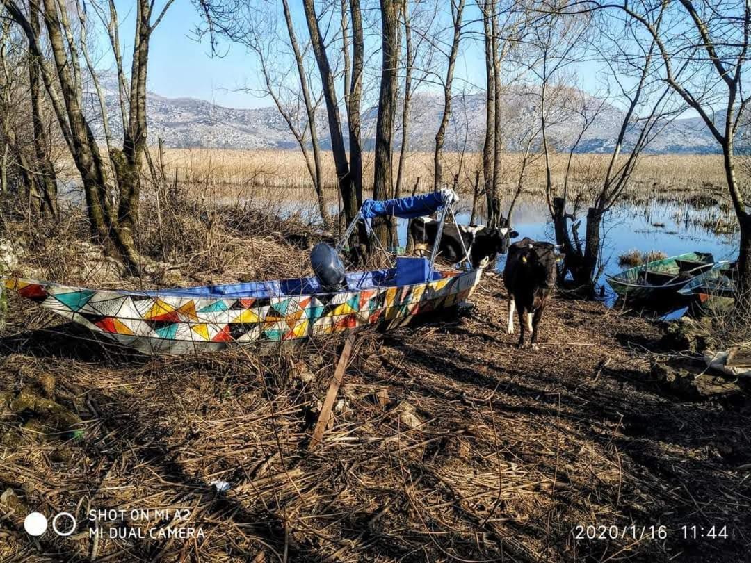 Holiday Home Haustor With Skadar Lake View Podgorica Esterno foto