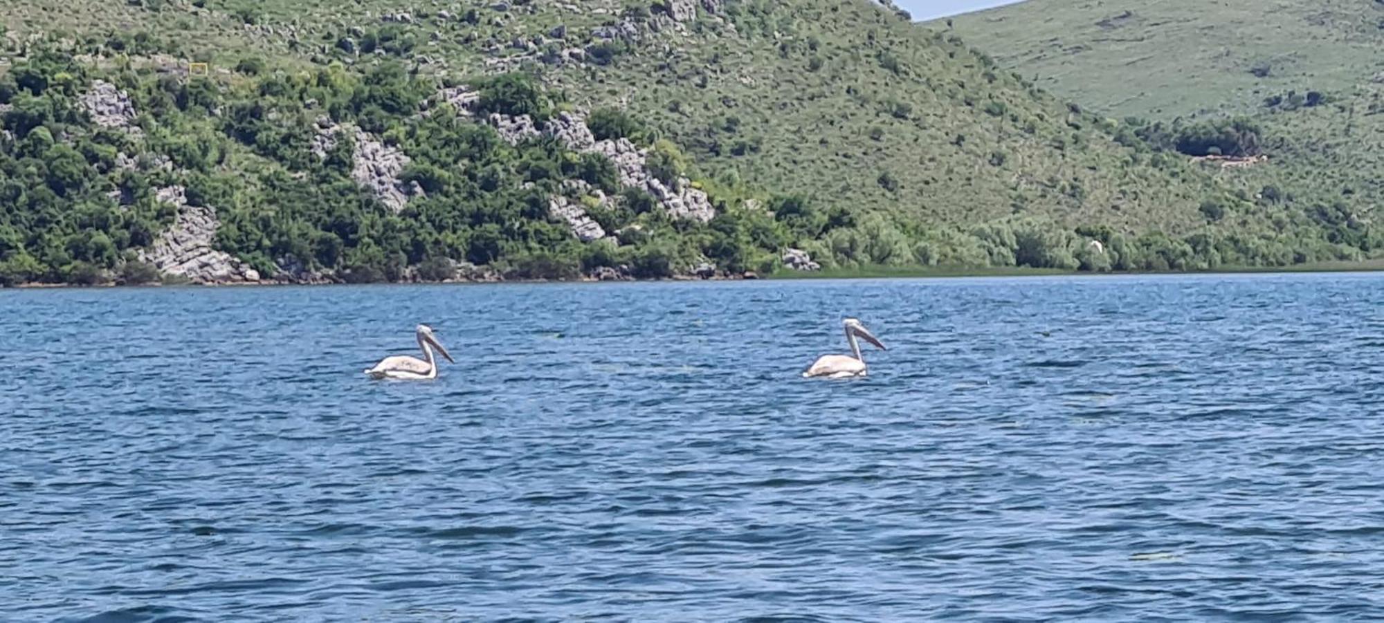 Holiday Home Haustor With Skadar Lake View Podgorica Esterno foto